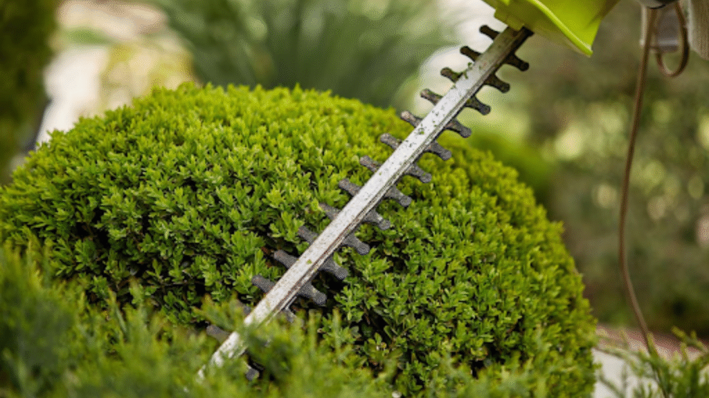 Wie Schneidearbeiten für den Garten Die Schönheit Ihres Gartens Verbessern